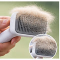 Original supplier image of the self-cleaning slicker brush