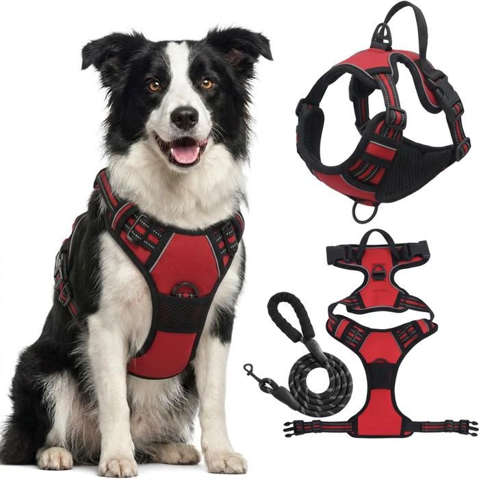 Red reflective chest harness and matching lead set for a large dog