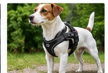 Adjustable dog harness in black and pink