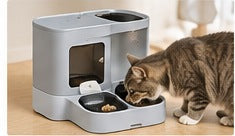 Cat feeder and water bowl set