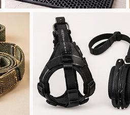 Dog harness and matching leash set